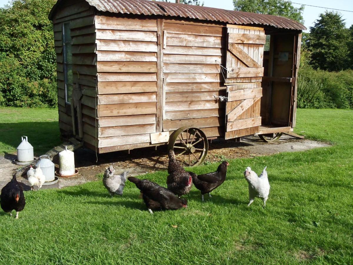 Manor Farm B&B Marlborough Esterno foto
