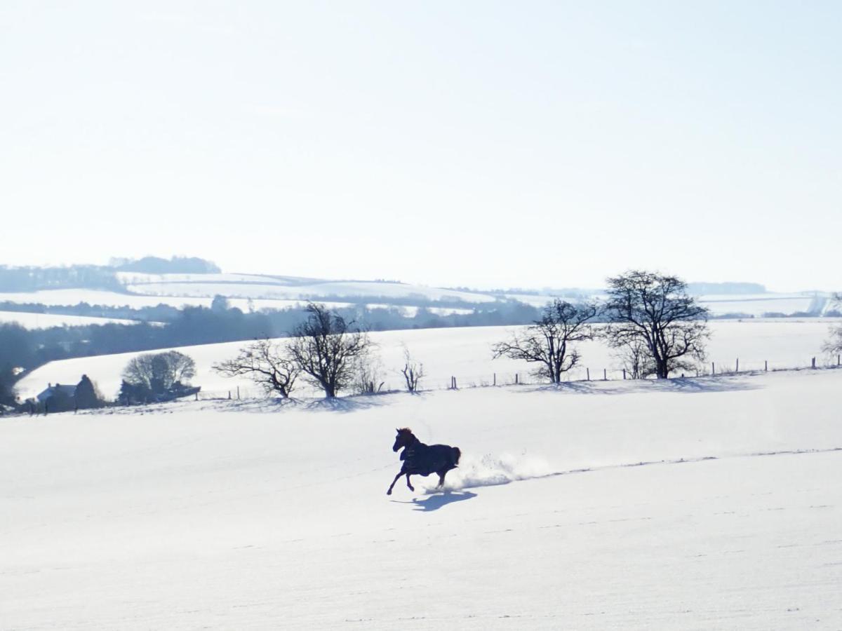 Manor Farm B&B Marlborough Esterno foto