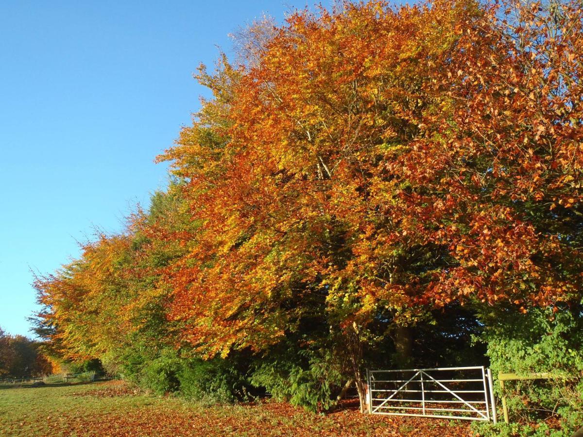 Manor Farm B&B Marlborough Esterno foto